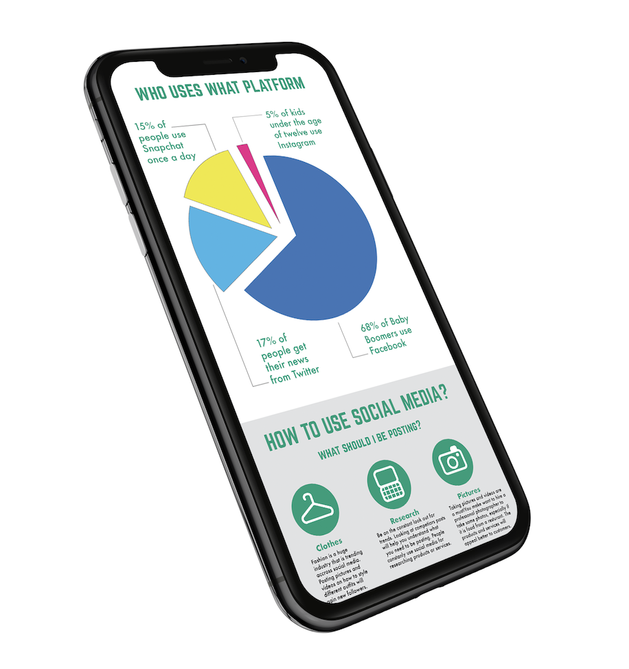 Inforgraphic Mock-Up Piechart on Smart Phone