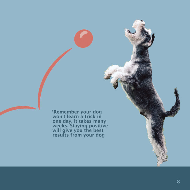 Final_Dog_Brochure Some Behavioral Training Tips 2nd Page