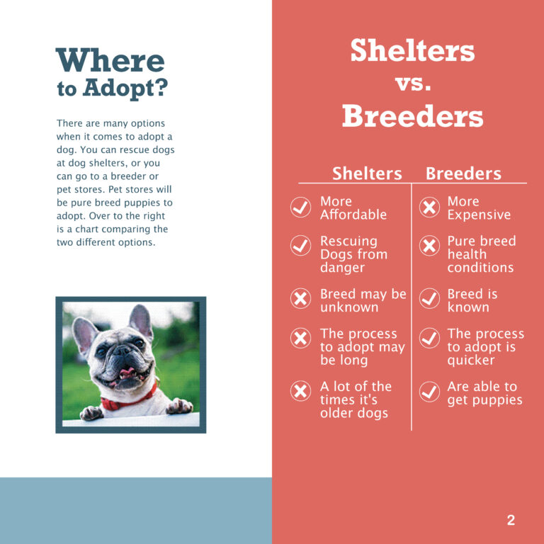 Final_Dog_Brochure Where to Adopt?