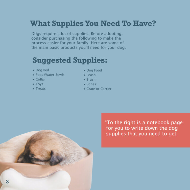 Final_Dog_Brochure What Supplies You Need to Have?