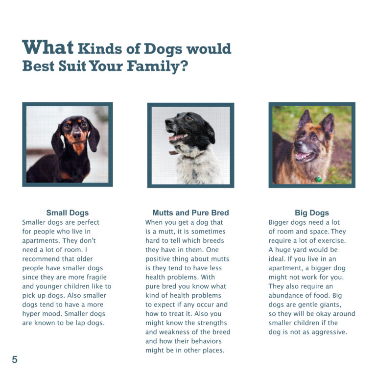 Final_Dog_Brochure What Kinds of Dogs would Best Suit Your Family?