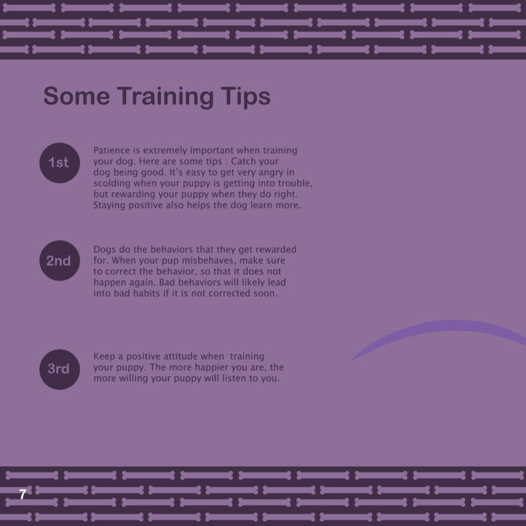 Previous Version Dog Brochure Some Training Tips