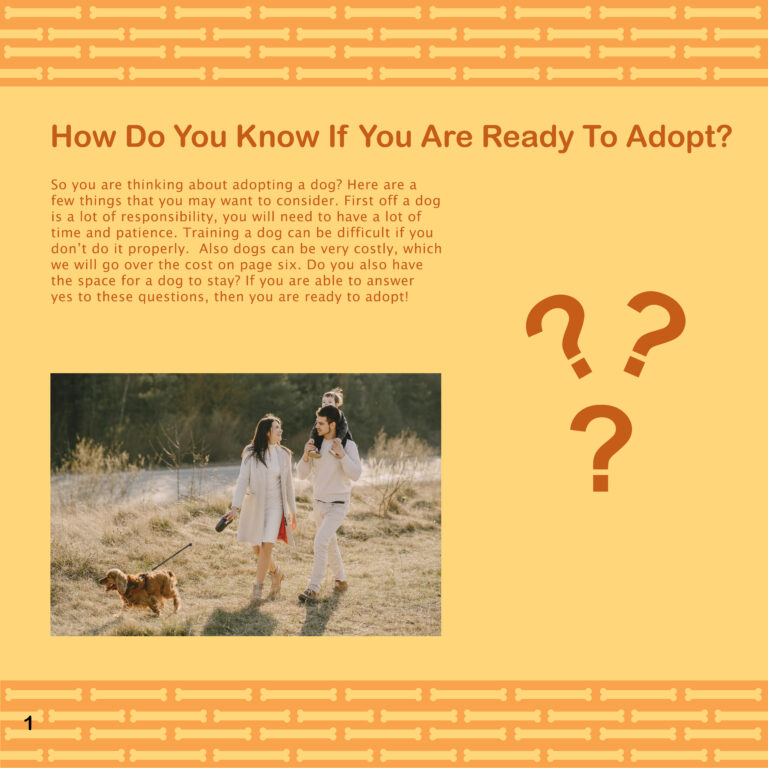 Previous Version Dog Brochure How to Know If You Are Ready to Adopt
