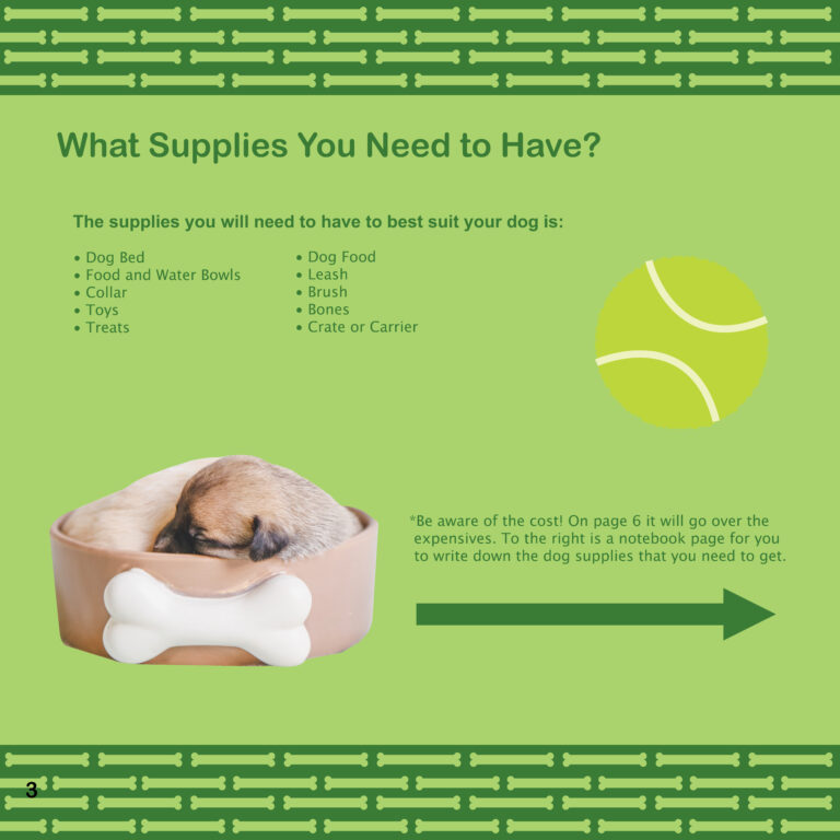 Previous Version Dog Brochure What Supplies You Need to Have?