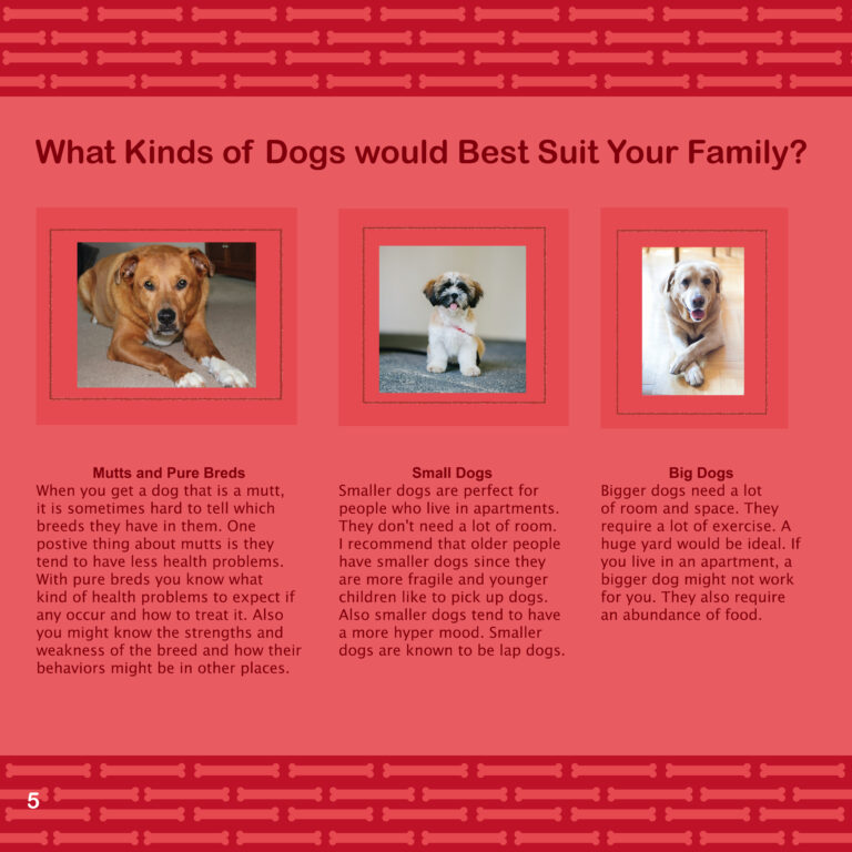 Previous Version Dog Brochure What Kinds of Dogs would Best Suit Your Family